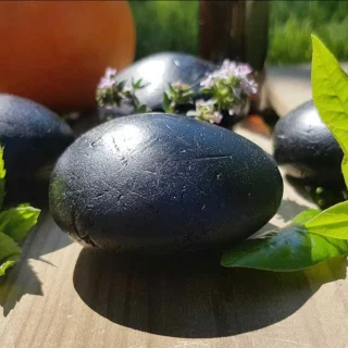 Champú Sólido de Carbón Activo – Cuero Cabelludo Sensible