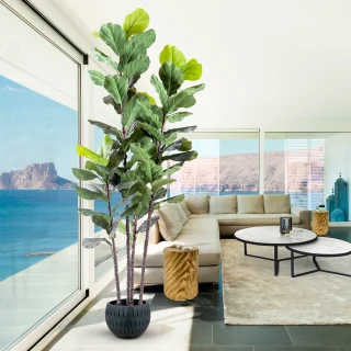 Planta Artificial Higuera Violin H250 Schuller