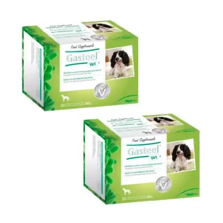 Heel Gasteel Vet, Pack 2 x 30 sobres